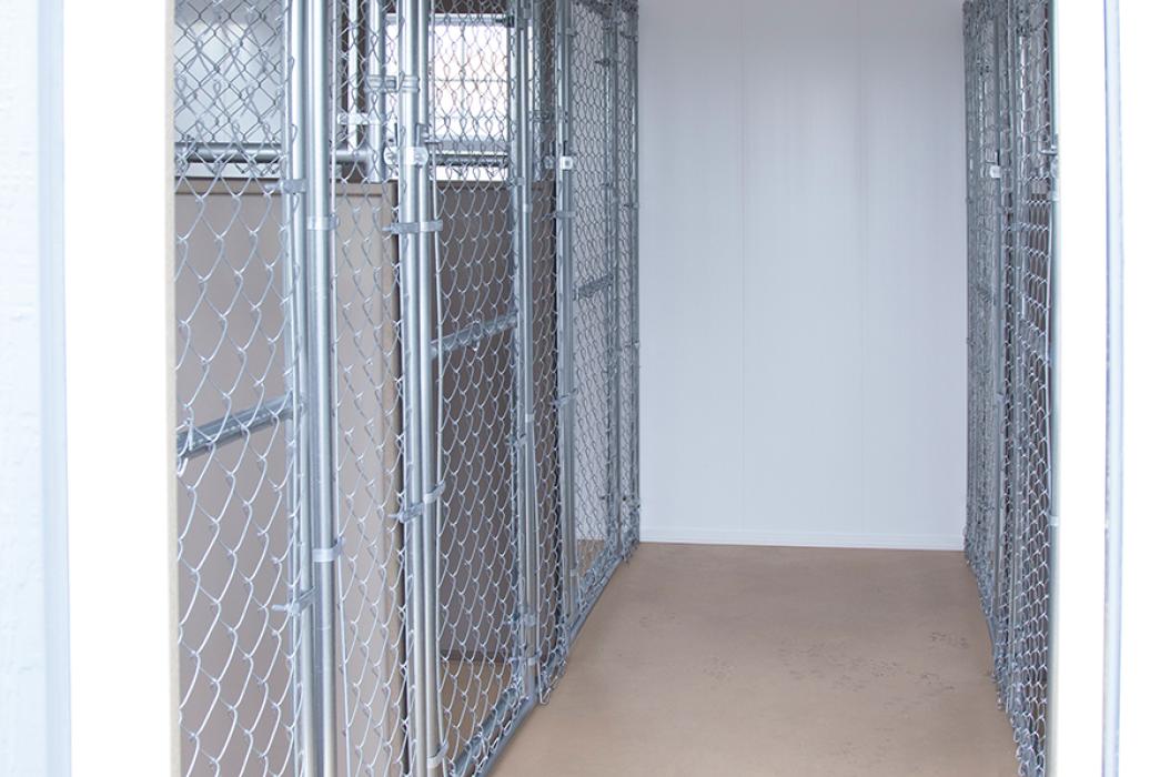 12' x 24' Kennel Lancaster County Barns